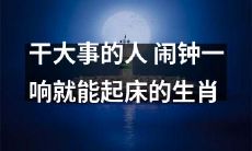 擅长迈向成功的人物——能够在闹铃声响起时立刻起床的十二生肖！