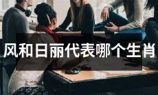 根据中国民俗传统,风和日丽能够代表哪个生肖呢?