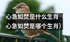 哪个生肖的特质为心急如焚，焦虑不安，无法耐心等待？