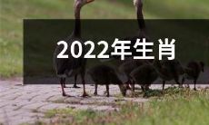 属什么？2022年马上到来，哪些生肖会受到幸运之神的眷顾？