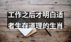 在职场历练中逐渐领悟适者生存哲理的十二生肖们