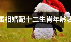 十二生肖属相婚配年龄对比表:哪些组合适宜最佳?