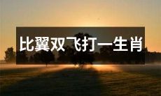 使用生肖猜谜的方式，进行“比翼双飞”的游戏！