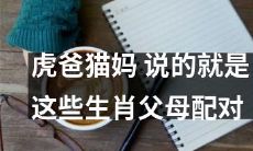 《虎爸猫妈》：探讨生肖父母配对的成功与失败因素