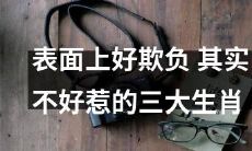 揭秘:被人误认为好欺负而实际不好惹的三大生肖!