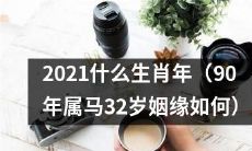 探寻2021年属马者的姻缘命运：32岁马儿你的爱情波动如何？