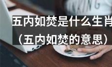 揭秘五内如焚的生肖含义：究竟是哪个属相在面临极度煎熬和痛苦中挣扎？