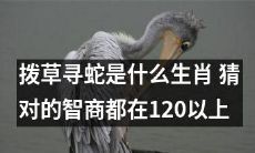 猜猜拨草寻蛇是哪个生肖，高智商至少要达到120分以上