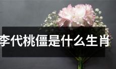 请问李代桃僵所属的生肖是什么？