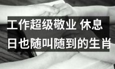 这个生肖工作超级敬业，休息日也随叫随到，就算是假期也毫不怠慢！