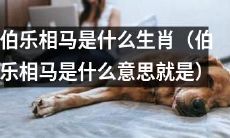 了解伯乐相马是哪一个生肖，其代表的意义是什么呢？