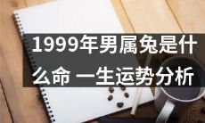 深入解析1999年属兔男性命格，详细探究其一生运势趋势与发展规律