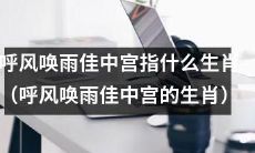 哪些生肖被认为是呼风唤雨佳中宫？