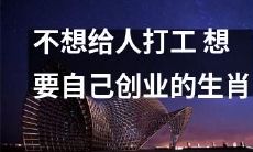 查看哪些生肖想要打破打工困局，展现自己的创业能力及追求自由的精神