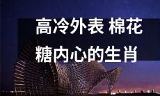 以外表高冷内心柔软的生肖为主题的棉花糖形象解析