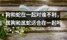 相处有事儿?狗和蛇谁更容易受害?让我们来看看属狗和属蛇是否合适在一起