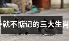 三大生肖男——分手后还能保持心情愉快而无需牵挂的秘诀