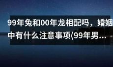 99年男兔与00年女龙的婚姻搭配是否相宜,如何维系幸福婚姻关系?
