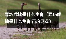 探究弄巧成拙表现为何种生肖的性格特质——弄巧成拙的生肖是什么?(弄巧成拙的生肖是什么?在百度网盘中探究)