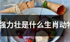 拥有强健体魄的生肖动物是什么？