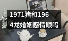 1971年属猪与1964年属龙的婚姻是否感情和谐？