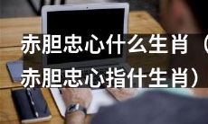 哪个生肖被称为拥有赤胆忠心的代表？