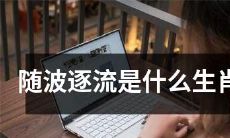 探究随波逐流人格特点的十二生肖中哪些？