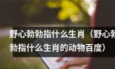 哪些生肖动物可以被形容为野心勃勃的？