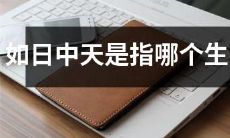 究竟是哪个生肖被指代为如日中天？