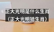 通过猜测，您能告诉我们正大光明是哪个生肖吗？(猜猜正大光明属于哪个生肖？）