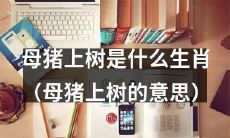 母猪上树：一个迷惑性极高的谜语，其意义是什么以及它是否代表了一种特定的生肖？