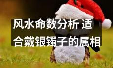 经典风水算命!揭秘不同属相戴银镯子的命理命运!