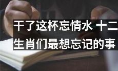 十二生肖们最想遗忘的事——当他们饮下那杯忘情水后波澜起伏的心路历程