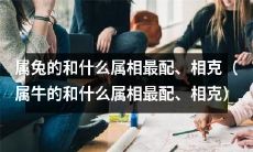 跟属兔的人配不配，要看你是什么属相！从相克到绝配，属牛和属兔的配对指南！