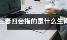 探究“三妻四妾”的生肖指代含义是什么？