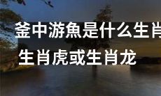 您知道釜中游鱼是哪个生肖吗？它是生肖虎或生肖龙中的哪一个？