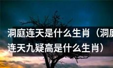 洞庭连天九疑高，你知道它究竟是哪一种生肖吗？