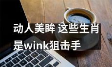 这些生肖的眼神太吸睛，简直是wink狙击手，让人动容不已