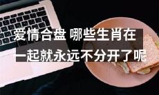 哪些生肖组合在一起的爱情合盘非常完美，无处不畅，风雨劫难也不分离？