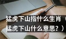 探寻猛虎下山在十二生肖中代表的含义及其意义是什么？