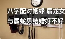 经典八字配对分析：属龙女配属蛇男姻缘，结婚是否合适？