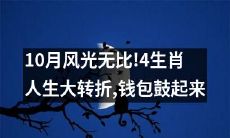 经历10月的惊心动魄,四个生肖即将迎来人生大转机,钱包渐渐鼓胀起来!
