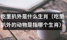 在十二生肖中，吃里扒外的动物指的是哪个生肖？