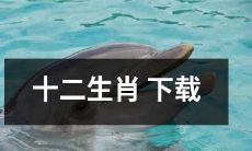 如何获取全套十二生肖高清图片并实现免费下载？