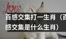令人五味杂陈的生肖之谜：谁是“百感交集”？