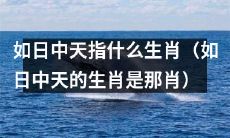 哪些生肖被称为如日中天？