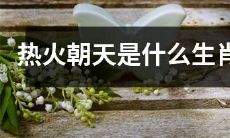 "热火朝天"这个词在十二生肖中对应的是哪个？