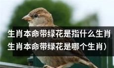 生肖本命带有绿花指代的是哪个生肖呢？