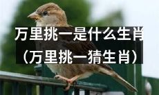 不差钱挑战之万里挑一猜测您的生肖到底是什么？