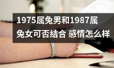 「1975属兔男和1987属兔女的配对能否成功?两人之间的感情如何?」